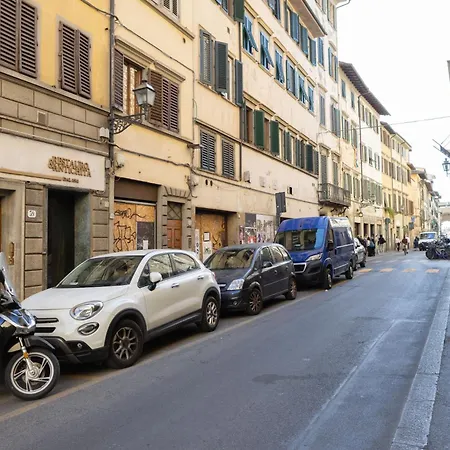 San Frediano Nest *